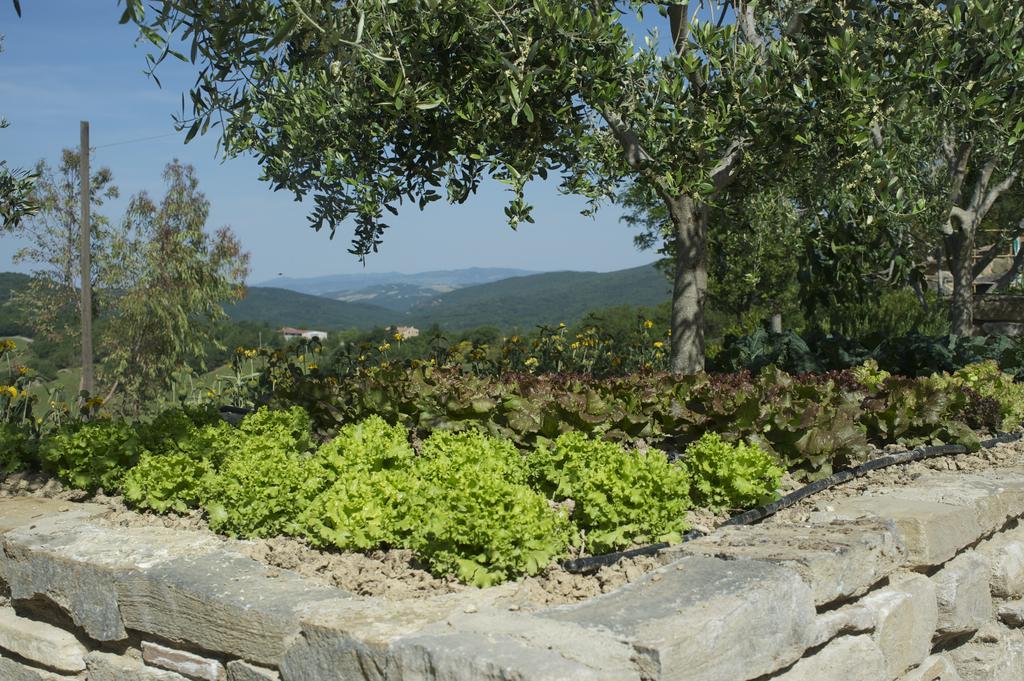 Agriturismo Erta Villa Casole d'Elsa Exterior photo