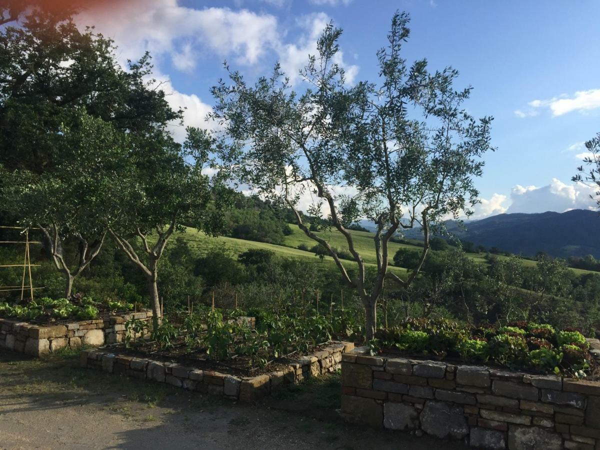 Agriturismo Erta Villa Casole d'Elsa Exterior photo
